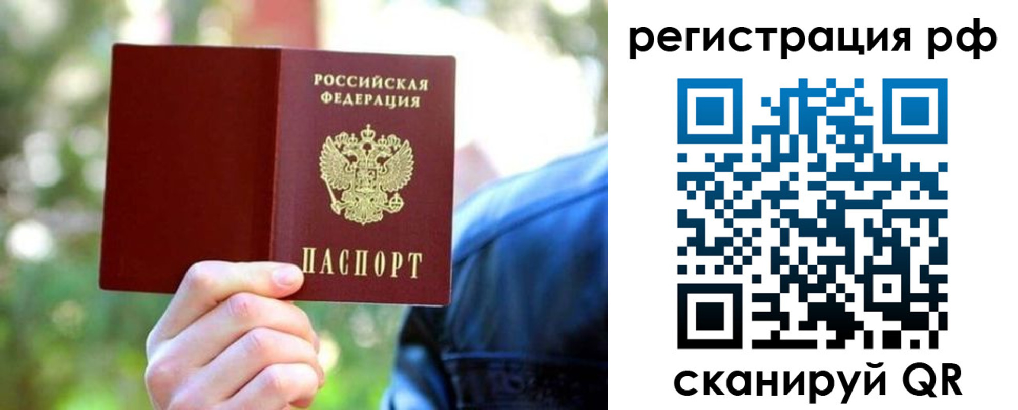 прописка поиск в Кингисеппе